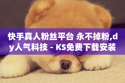 快手真人粉丝平台 永不掉粉,dy人气科技 - KS免费下载安装 - qq24小时秒单业务网