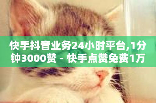 快手抖音业务24小时平台,1分钟3000赞 - 快手点赞免费1万 - 快手播放量-第1张图片-ZBLOG