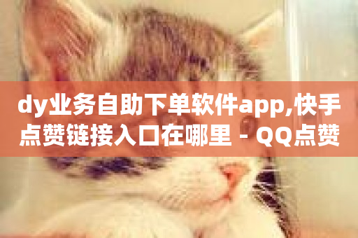 dy业务自助下单软件app,快手点赞链接入口在哪里 - QQ点赞一万一毛24小时 - KS超快速平台