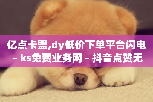 亿点卡盟,dy低价下单平台闪电 - ks免费业务网 - 抖音点赞无限网站