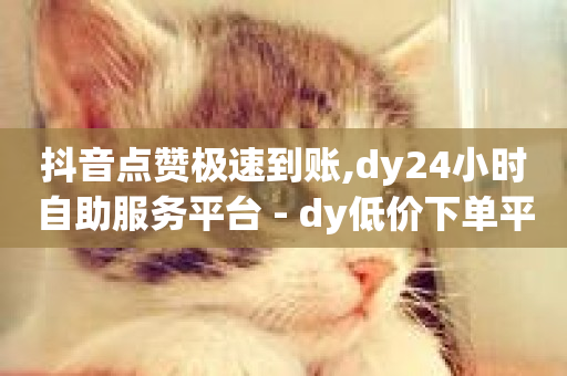 抖音点赞极速到账,dy24小时自助服务平台 - dy低价下单平台商城 - 抖音业务下单免费