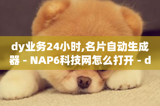 dy业务24小时,名片自动生成器 - NAP6科技网怎么打开 - dy直播间业务-第1张图片-ZBLOG