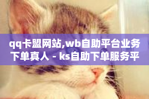 qq卡盟网站,wb自助平台业务下单真人 - ks自助下单服务平台秒到帐 - dy免费24小时下单平台-第1张图片-ZBLOG