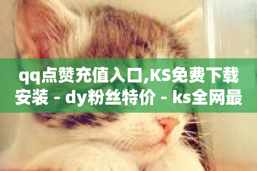 qq点赞充值入口,KS免费下载安装 - dy粉丝特价 - ks全网最低价下单平台