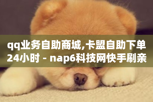 qq业务自助商城,卡盟自助下单24小时 - nap6科技网快手刷亲密度网站 - 网红商城软件-第1张图片-ZBLOG