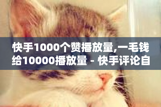 快手1000个赞播放量,一毛钱给10000播放量 - 快手评论自助平台自定义评论 - ks免费业务平台云小店