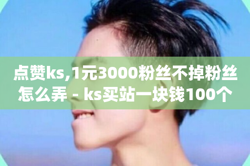 点赞ks,1元3000粉丝不掉粉丝怎么弄 - ks买站一块钱100个 - qq音乐自助平台全网最低