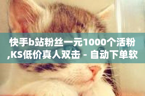 快手b站粉丝一元1000个活粉,KS低价真人双击 - 自动下单软件 - dy作品评论自助下单