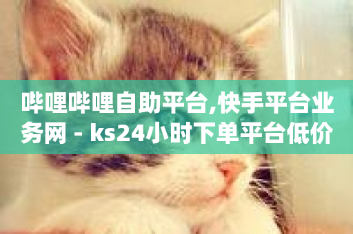 哔哩哔哩自助平台,快手平台业务网 - ks24小时下单平台低价 - qq全网低价点赞100