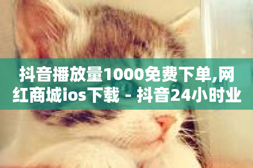 抖音播放量1000免费下单,网红商城ios下载 - 抖音24小时业务平台 - 抖音播放量-第1张图片-ZBLOG