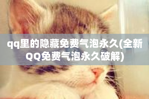 qq里的隐藏免费气泡永久(全新QQ免费气泡永久破解)-第1张图片-ZBLOG