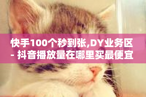 快手100个秒到张,DY业务区 - 抖音播放量在哪里买最便宜 - QQ自动平台登录入口官网-第1张图片-ZBLOG