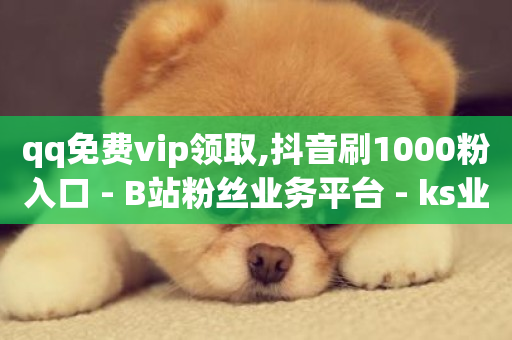 qq免费vip领取,抖音刷1000粉入口 - B站粉丝业务平台 - ks业务免费领-第1张图片-ZBLOG