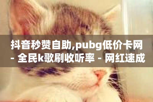 抖音秒赞自助,pubg低价卡网 - 全民k歌刷收听率 - 网红速成点赞-第1张图片-ZBLOG