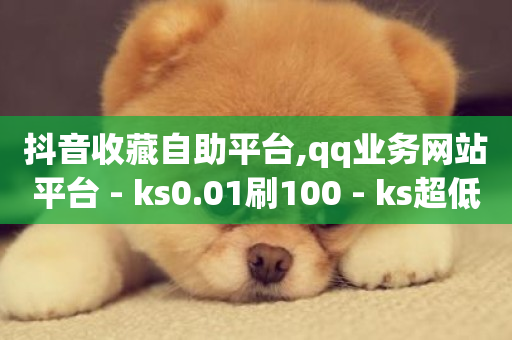 抖音收藏自助平台,qq业务网站平台 - ks0.01刷100 - ks超低价自助下单软件