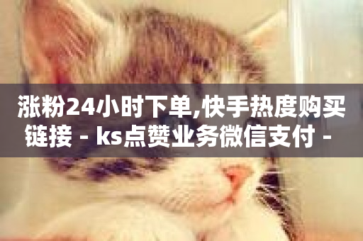 涨粉24小时下单,快手热度购买链接 - ks点赞业务微信支付 - 抖音快手免费业务-第1张图片-ZBLOG