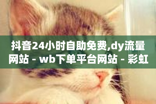 抖音24小时自助免费,dy流量网站 - wb下单平台网站 - 彩虹云商城网站