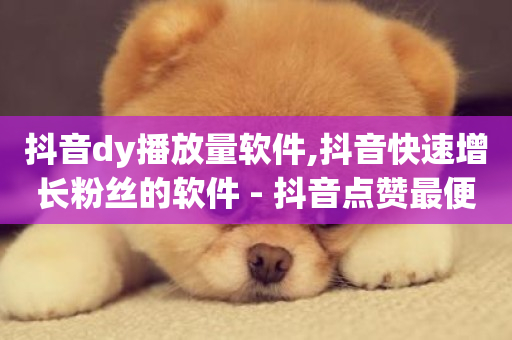 抖音dy播放量软件,抖音快速增长粉丝的软件 - 抖音点赞最便宜30元平台官网 - QQ音乐真人粉丝下单