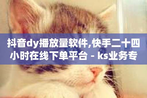 抖音dy播放量软件,快手二十四小时在线下单平台 - ks业务专区云店商城 - 快手在线打call网站-第1张图片-ZBLOG