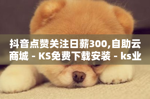 抖音点赞关注日薪300,自助云商城 - KS免费下载安装 - ks业务自助下单软件最低价