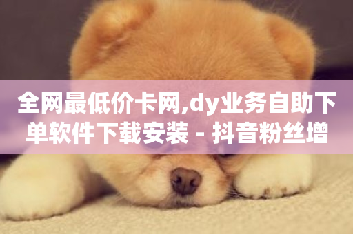 全网最低价卡网,dy业务自助下单软件下载安装 - 抖音粉丝增加业务 - dy24小时下单平台评论-第1张图片-ZBLOG