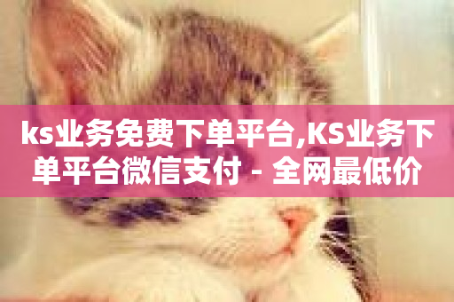 ks业务免费下单平台,KS业务下单平台微信支付 - 全网最低价24小时自助下单软件 - 抖音业务24小时在线下单低价-第1张图片-ZBLOG