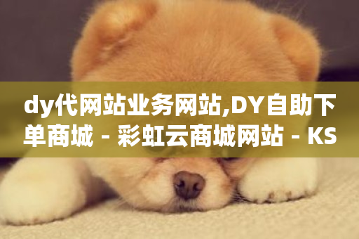 dy代网站业务网站,DY自助下单商城 - 彩虹云商城网站 - KS低价作品双击