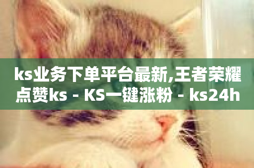 ks业务下单平台最新,王者荣耀点赞ks - KS一键涨粉 - ks24h自助下单-第1张图片-ZBLOG