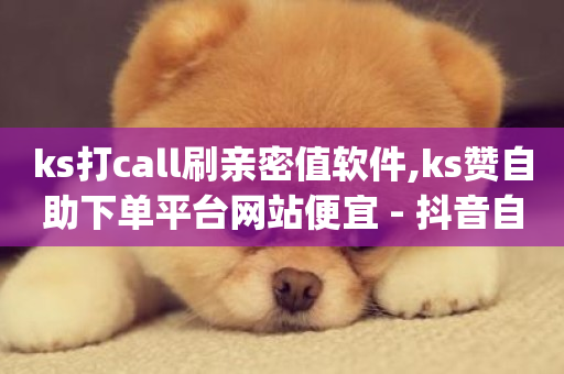 ks打call刷亲密值软件,ks赞自助下单平台网站便宜 - 抖音自助业务全网最低 - dy10元一千粉