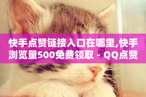 快手点赞链接入口在哪里,快手浏览量500免费领取 - QQ点赞一万一毛 - 快手24小时在线下单平台免费-第1张图片-ZBLOG