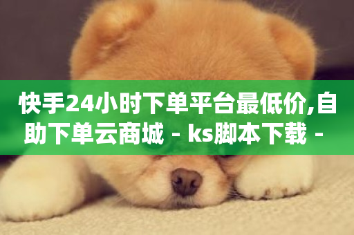 快手24小时下单平台最低价,自助下单云商城 - ks脚本下载 - dy24小时点赞