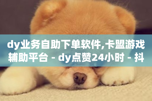 dy业务自助下单软件,卡盟游戏辅助平台 - dy点赞24小时 - 抖音快手业务网站-第1张图片-ZBLOG