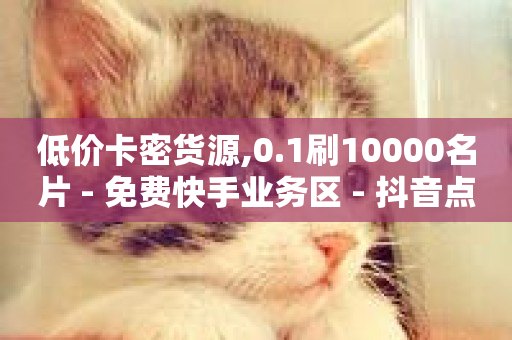 低价卡密货源,0.1刷10000名片 - 免费快手业务区 - 抖音点赞软件-第1张图片-ZBLOG