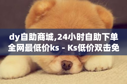 dy自助商城,24小时自助下单全网最低价ks - Ks低价双击免费微信支付 - 抖音真人点赞24小时在线