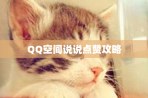 QQ空间说说点赞攻略-第1张图片-ZBLOG