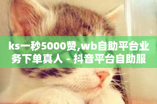 ks一秒5000赞,wb自助平台业务下单真人 - 抖音平台自助服务 - 快手赞-第1张图片-ZBLOG