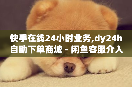 快手在线24小时业务,dy24h自助下单商城 - 闲鱼客服介入对谁有利 - KS免费业务-第1张图片-ZBLOG