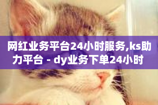 网红业务平台24小时服务,ks助力平台 - dy业务下单24小时 - 哔哩哔哩秒点赞在线自助平台-第1张图片-ZBLOG