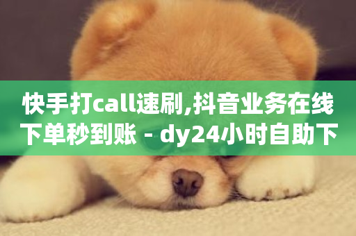 快手打call速刷,抖音业务在线下单秒到账 - dy24小时自助下单软件 - ks云小店24小时自助下单