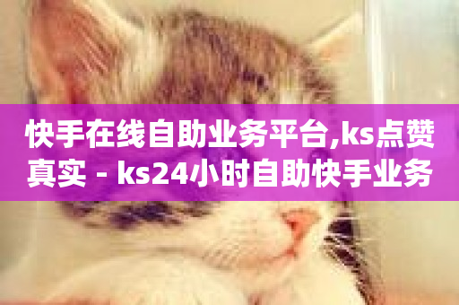 快手在线自助业务平台,ks点赞真实 - ks24小时自助快手业务 - dy自助下单全网最低-第1张图片-ZBLOG