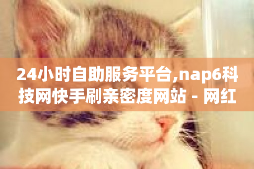 24小时自助服务平台,nap6科技网快手刷亲密度网站 - 网红商城自助下单网址是多少 - qq刷钻卡盟永久最低价