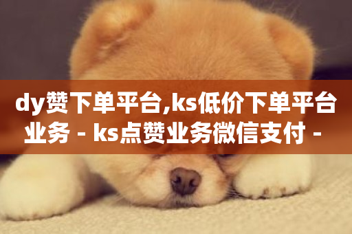 dy赞下单平台,ks低价下单平台业务 - ks点赞业务微信支付 - dy业务卡盟网站-第1张图片-ZBLOG