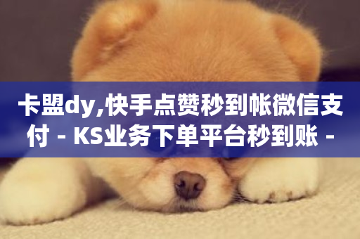 卡盟dy,快手点赞秒到帐微信支付 - KS业务下单平台秒到账 - 抖音业务低价-第1张图片-ZBLOG