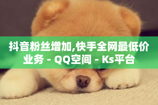 抖音粉丝增加,快手全网最低价业务 - QQ空间 - Ks平台-第1张图片-ZBLOG