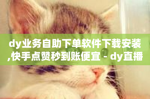 dy业务自助下单软件下载安装,快手点赞秒到账便宜 - dy直播间业务 - ks业务免费下单平台-第1张图片-ZBLOG