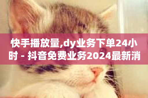 快手播放量,dy业务下单24小时 - 抖音免费业务2024最新消息 - 快手业务低价人机