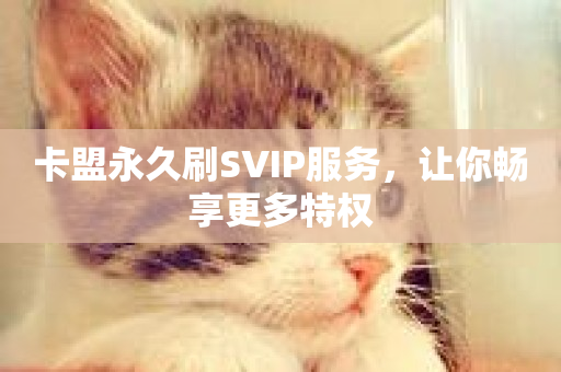 卡盟永久刷SVIP服务，让你畅享更多特权-第1张图片-ZBLOG