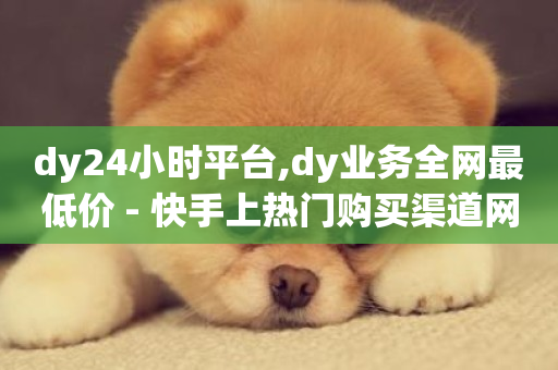 dy24小时平台,dy业务全网最低价 - 快手上热门购买渠道网站 - pubg低价卡网-第1张图片-ZBLOG