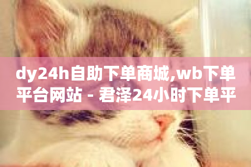 dy24h自助下单商城,wb下单平台网站 - 君泽24小时下单平台 - 影视会员批发平台发卡网-第1张图片-ZBLOG