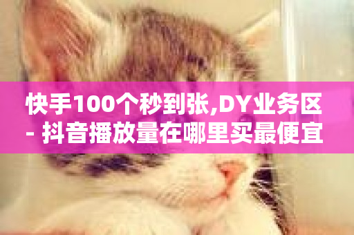 快手100个秒到张,DY业务区 - 抖音播放量在哪里买最便宜 - QQ自动平台登录入口官网